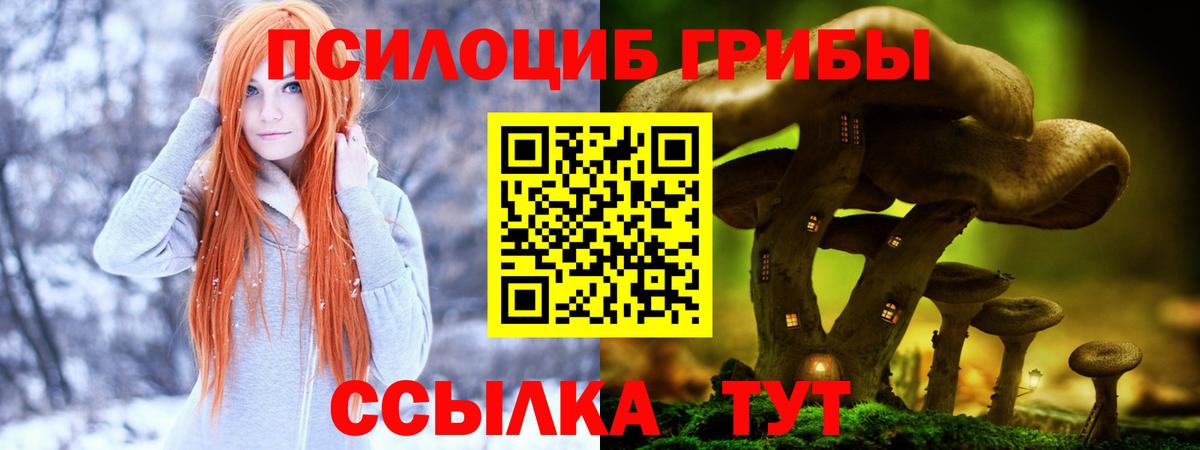 Бузулук  Псилоцибиновые грибы мицелий  купить   Вход с VPN  Псилоцибиновые грибы прущие грибы 